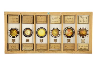 Lot 760 - Collection of Microscope Slides