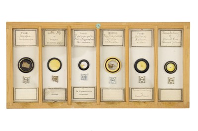 Lot 760 - Collection of Microscope Slides