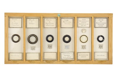 Lot 760 - Collection of Microscope Slides