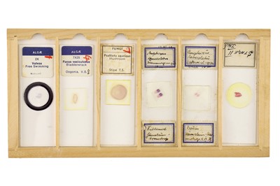 Lot 760 - Collection of Microscope Slides