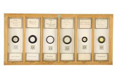 Lot 760 - Collection of Microscope Slides