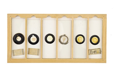 Lot 760 - Collection of Microscope Slides