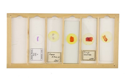 Lot 760 - Collection of Microscope Slides