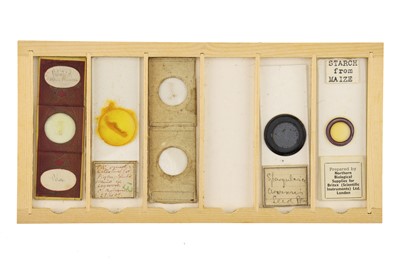 Lot 760 - Collection of Microscope Slides