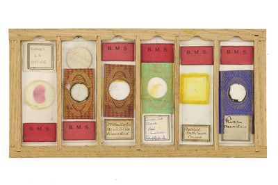 Lot 760 - Collection of Microscope Slides