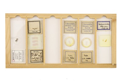 Lot 760 - Collection of Microscope Slides