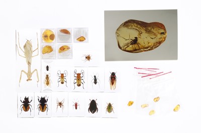 Lot 761 - Collection of Insects in amber