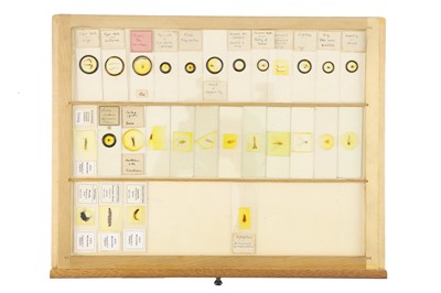 Lot 762 - A Large Collection of Microscope Slides