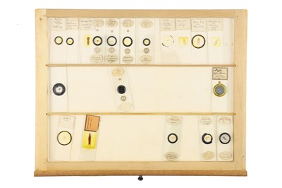 Lot 762 - A Large Collection of Microscope Slides