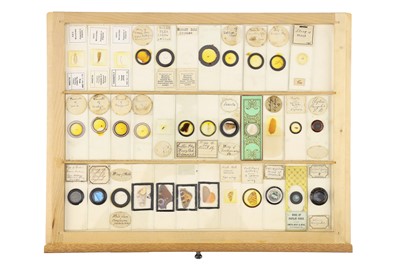 Lot 762 - A Large Collection of Microscope Slides