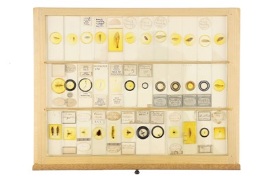 Lot 762 - A Large Collection of Microscope Slides