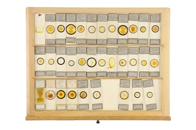 Lot 762 - A Large Collection of Microscope Slides