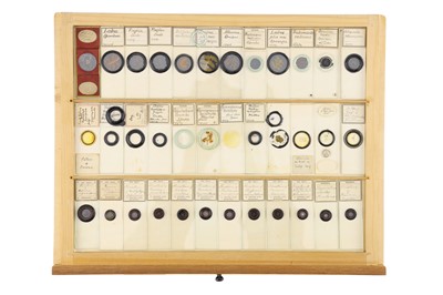 Lot 762 - A Large Collection of Microscope Slides