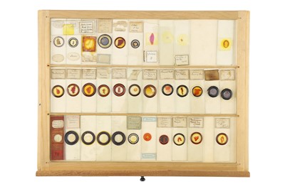 Lot 762 - A Large Collection of Microscope Slides