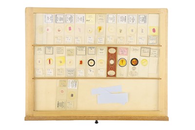 Lot 762 - A Large Collection of Microscope Slides