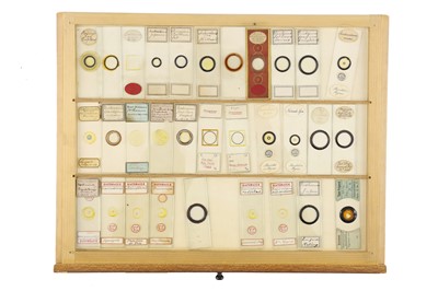 Lot 762 - A Large Collection of Microscope Slides