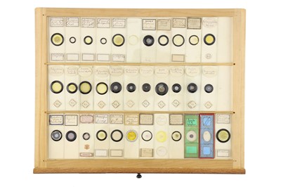 Lot 762 - A Large Collection of Microscope Slides