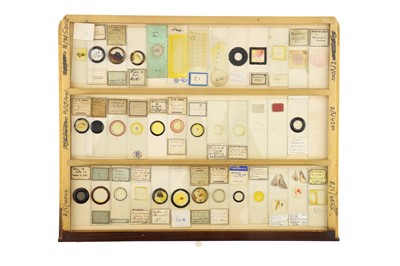 Lot 152 - Large Cabinet of Microscope Slides