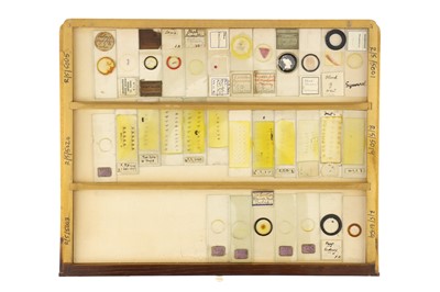 Lot 152 - Large Cabinet of Microscope Slides