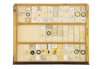 Lot 152 - Large Cabinet of Microscope Slides
