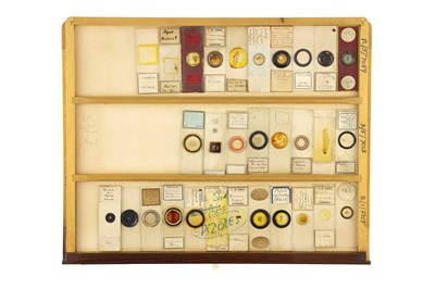 Lot 152 - Large Cabinet of Microscope Slides