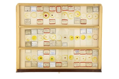 Lot 152 - Large Cabinet of Microscope Slides