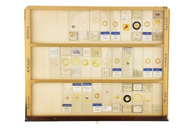 Lot 152 - Large Cabinet of Microscope Slides