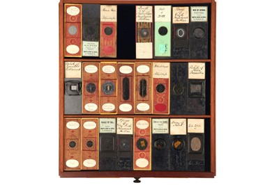 Lot 41 - Large Cabinet of Microscope slides