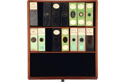 Lot 41 - Large Cabinet of Microscope slides