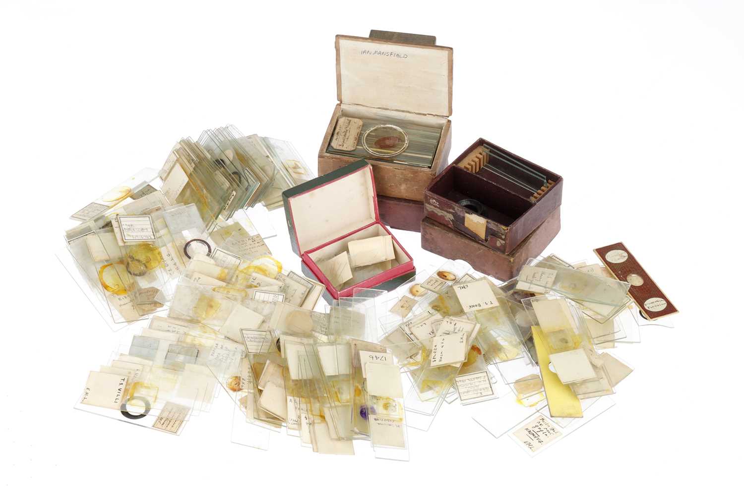 Lot 755 - Large Collection of Microscope Slides