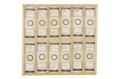 Lot 756 - Large Collection of Diatom Microscope Slides