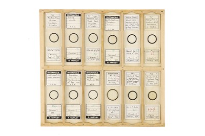 Lot 756 - Large Collection of Diatom Microscope Slides