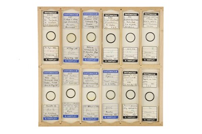 Lot 756 - Large Collection of Diatom Microscope Slides