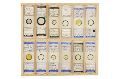 Lot 756 - Large Collection of Diatom Microscope Slides