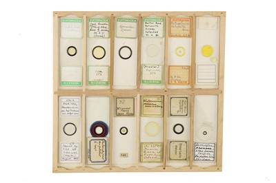 Lot 756 - Large Collection of Diatom Microscope Slides