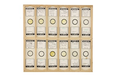 Lot 756 - Large Collection of Diatom Microscope Slides