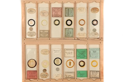 Lot 43 - A good collection of Microscope Slides