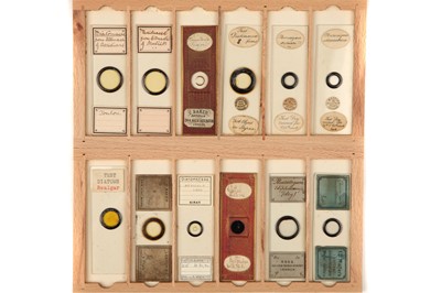 Lot 43 - A good collection of Microscope Slides