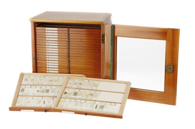 Lot 765 - A large polished wood microscope slide...