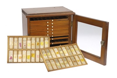 Lot 529 - Cabinet of Microscope Slides From Royal College of Physicians, Edinburgh