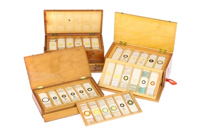 Lot 525 - A Good Collection of Diatom Microscope Slides