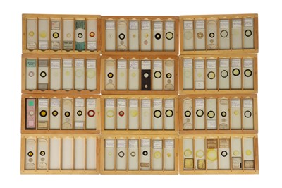 Lot 525 - A Good Collection of Diatom Microscope Slides