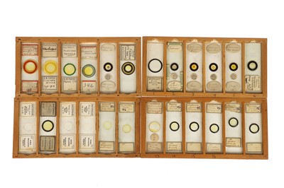 Lot 525 - A Good Collection of Diatom Microscope Slides