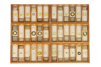 Lot 525 - A Good Collection of Diatom Microscope Slides