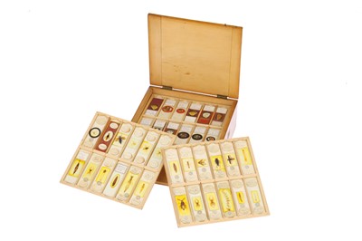 Lot 526 - A Good Collection of Entomology & Other Microscope Slides