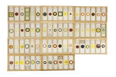 Lot 530 - Large Collection of Microscope Slides