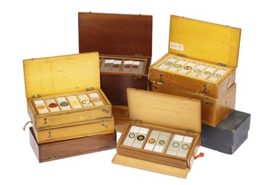 Lot 531 - Large Collection of Microscope Slides