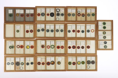 Lot 531 - Large Collection of Microscope Slides