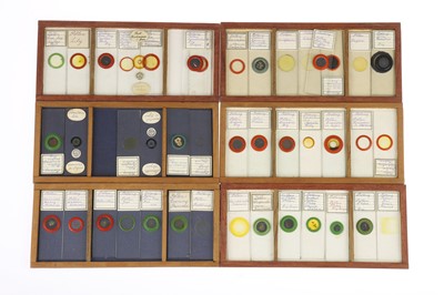 Lot 531 - Large Collection of Microscope Slides