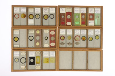 Lot 531 - Large Collection of Microscope Slides